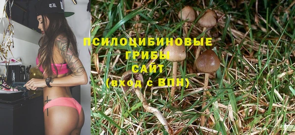 мдма Богородск