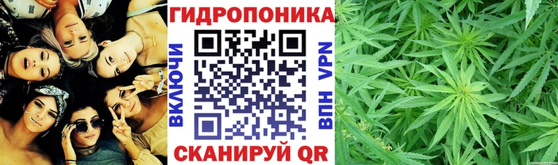 Купить  Ардатов  Канабис Amnesia 